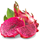 buah naga organik berkualitas